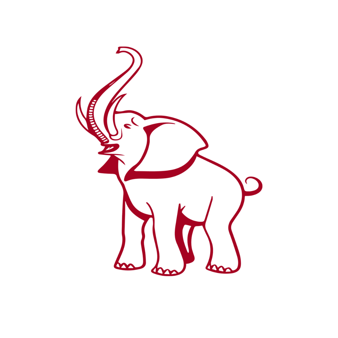 Elephant Wear