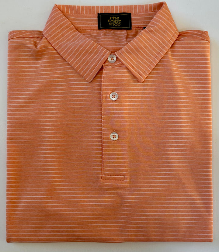 The Shirt Shop The Morgan Polo